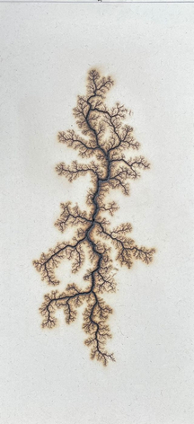 Douglas White, Lichtenberg Drawing 12, 2026