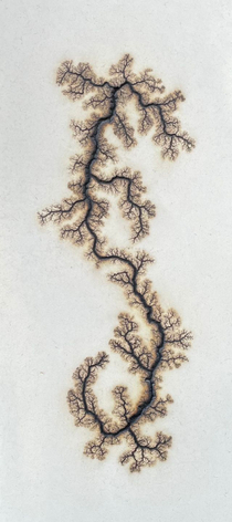 Douglas White, Lichtenberg Drawing 10, 2026