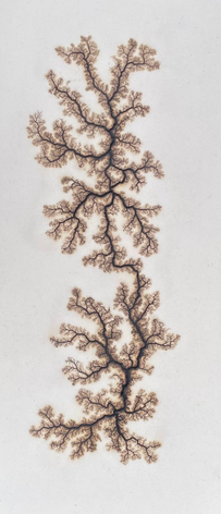 Douglas White, Lichtenberg Drawing 6, 2026