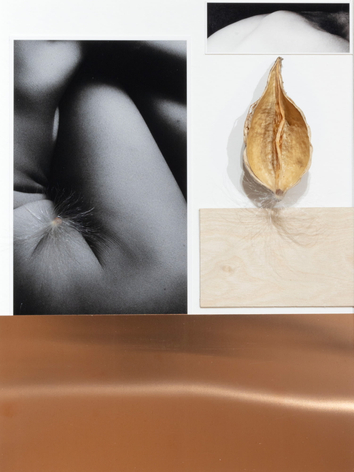 Maryam Palizgir, Claustrophobia_5773, 2022