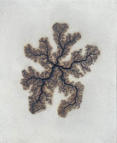 Douglas White, Lichtenberg Drawing 14, 2026