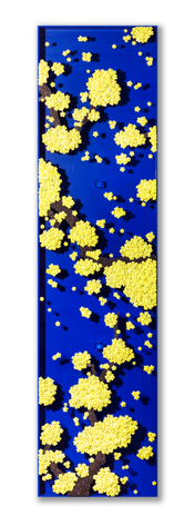 Becoming Again_BY3, 2021, Paper buttons, beads, crystals, pins on plexiglass and plexiglass frame