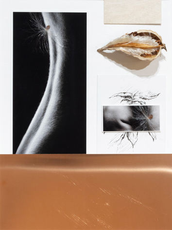 Maryam Palizgir, Claustrophobia_5784, 2022