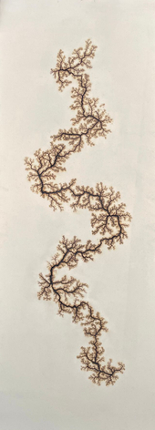 Douglas White, Lichtenberg Drawing 1, 2026
