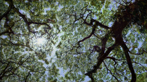 Shoja Azari and Sharam Karimi, Dreamscape IV, 2016