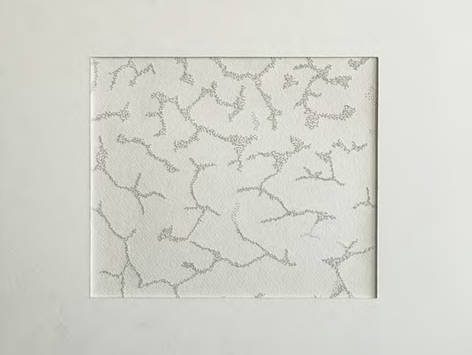 Maryam Khosravani, Sève Series, 2024