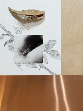 Maryam Palizgir, Claustrophobia_5787, 2022