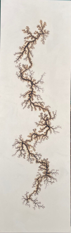 &nbsp;, Douglas White