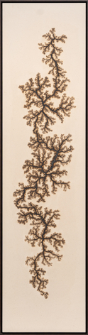 Douglas White, Lichtenberg Drawing 3, 2026