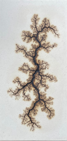 Douglas White, Lichtenberg Drawing 13, 2026
