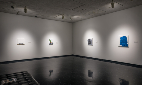 Karel Funk, Installation view: Winnipeg Art Gallery, 2016