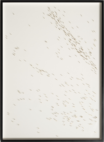 Alicja Kwade, South Atlantic Crossing (384/9, 25 November 25)