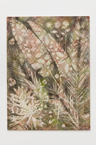 Sam Falls, Untitled (Neutra House, Los Feliz, CA., 5)