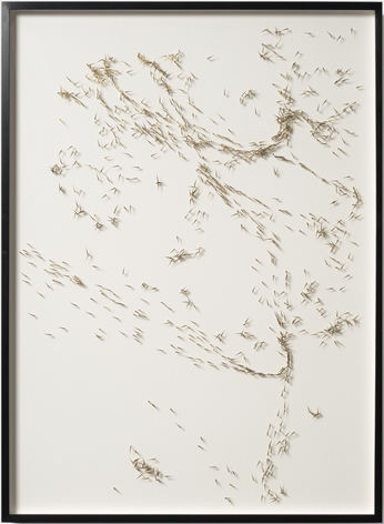 Alicja Kwade, Panama Canal and Eastern Pacific Routes (1210/926, 25 November 25)