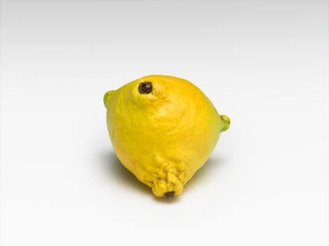 Alicja Kwade, CitrumVarium