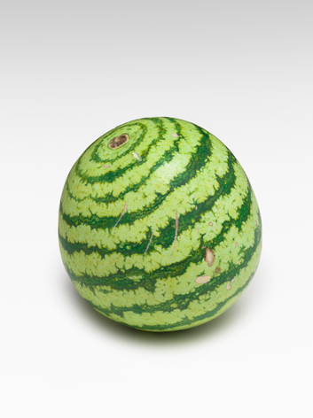 Alicja Kwade, Marsmelone