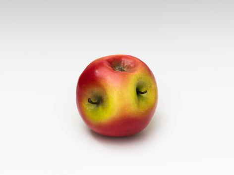 Alicja Kwade, MalusMultiplex