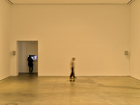 Dominique Gonzalez-Foerster, Zone