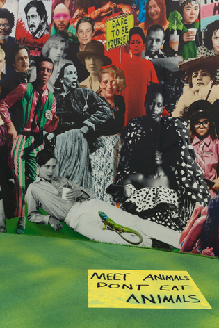 Dominique Gonzalez-Foerster, VOLCANIC EXCURSION (A VISION), 2021, installation view Secession 2021, photo: Oliver Ottenschl&auml;ger