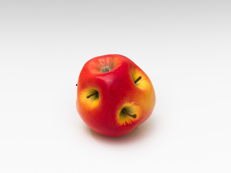 Alicja Kwade, MalusMultiplex