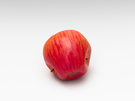 Alicja Kwade, MalusMultiplex