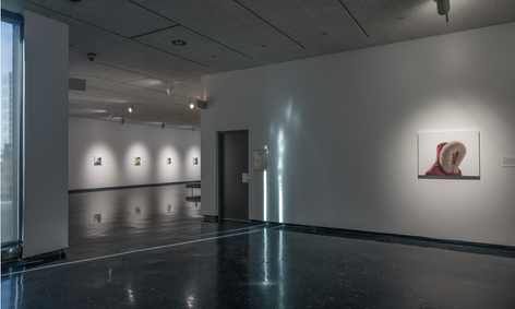 Karel Funk, Installation view: Winnipeg Art Gallery, 2016