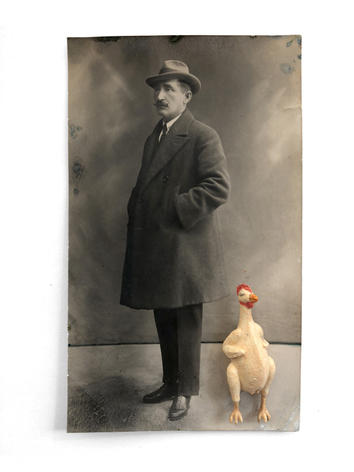 Gary Brotmeyer The Mimic