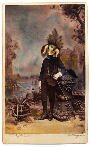 Gary Brotmeyer Staghound