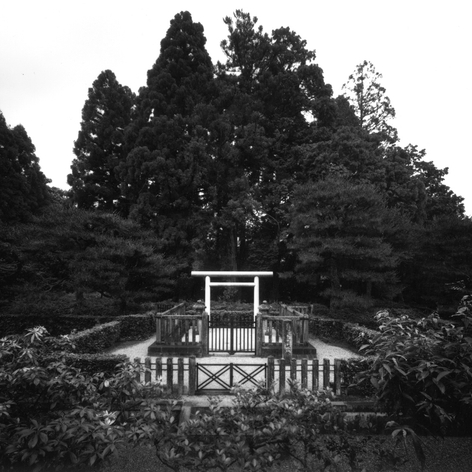 Black and white photo of a Japanese shinto shrine in a forested park.