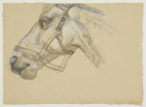 Lucian Freud, Head of Success II, 1983