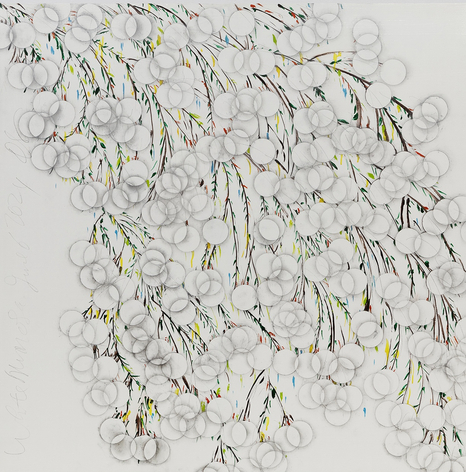 Donald Sultan White Mimosa June 6 2024, 2024 enamel and graphite on masonite 36 x 36 inches