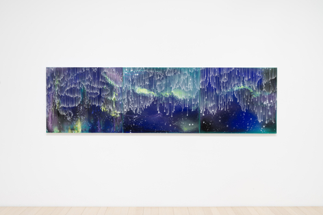 Barbara Takenaga: Parallax