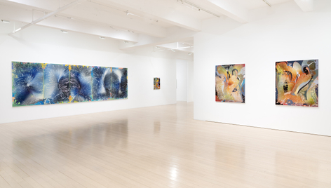 Barbara Takenaga: Parallax