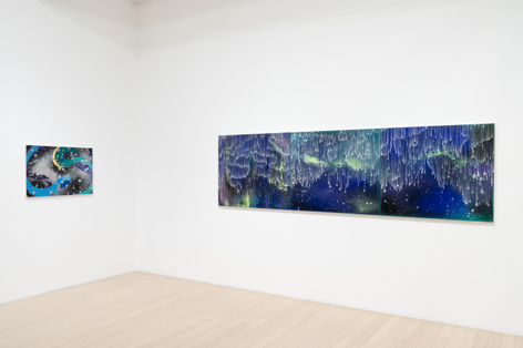 Barbara Takenaga: Parallax