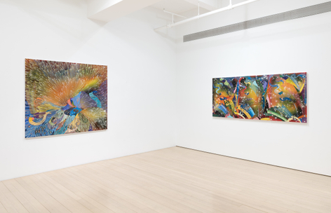 Barbara Takenaga: Parallax