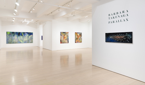 Barbara Takenaga: Parallax