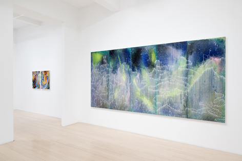 Barbara Takenaga: Parallax