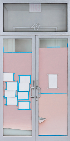 49, 2014 Acrylic on nylon mesh  48 x 24 inches