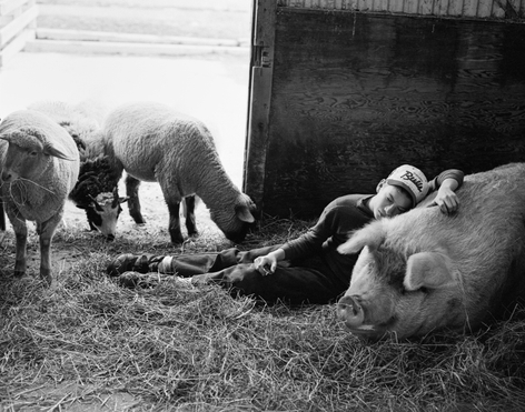 Bruce Weber, Green Chimneys, Brewster, New York, 1994