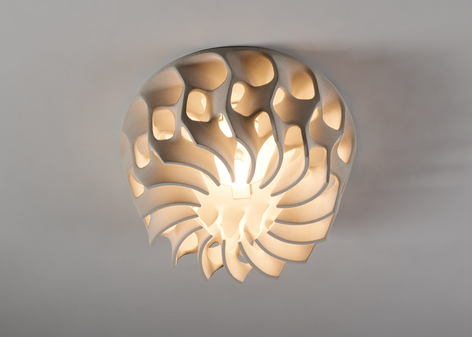 bareff ceiling light