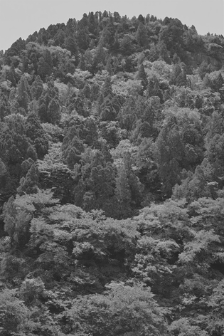 Taca Sui 塔可, Podium for Scripture Viewing