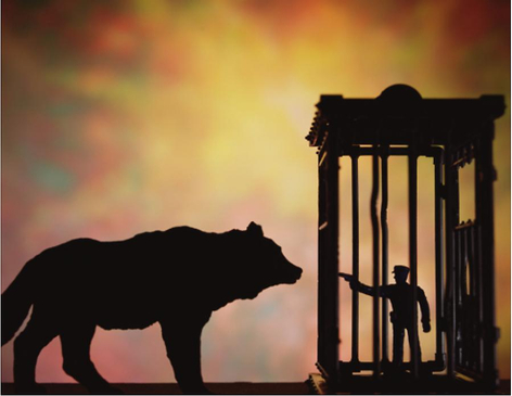 Anarchy (Hour of the Wolf), 2011