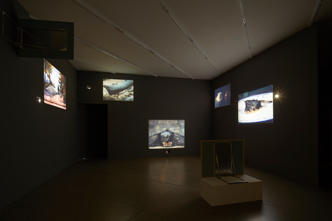 Jo&atilde;o Maria Gusm&atilde;o + Pedro Paiva,&nbsp;The Sleeping Eskimo