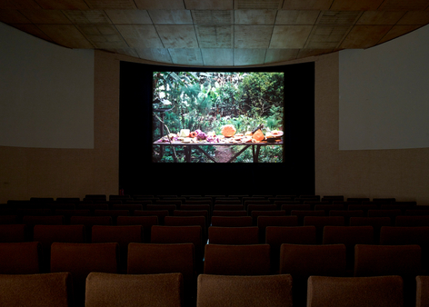 Jo&atilde;o Maria Gusm&atilde;o + Pedro Paiva,&nbsp;The Missing Hippopotamus