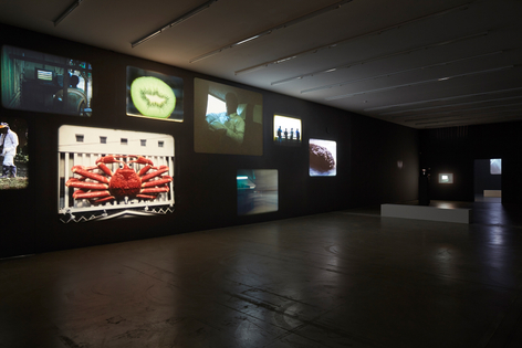 Jo&atilde;o Maria Gusm&atilde;o + Pedro Paiva,&nbsp;The Sleeping Eskimo