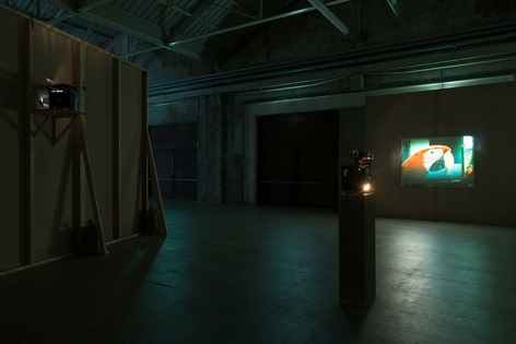 Jo&atilde;o Maria Gusm&atilde;o + Pedro Paiva,&nbsp;Papagaio