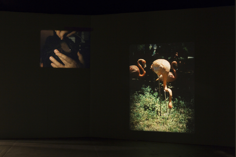 Jo&atilde;o Maria Gusm&atilde;o&nbsp;+ Pedro Paiva,&nbsp;WHERE THE SORCERER DOESN&rsquo;T DARE TO STICK HIS NOSE and Another B&amp;amp;W Ghost Show, September 6 - October 27, 2018,&nbsp;Andrew Kreps Gallery, 537 W 22nd Street, New York