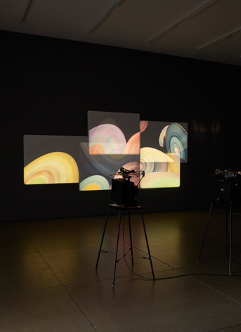 Jo&atilde;o Maria Gusm&atilde;o + Pedro Paiva,&nbsp;The Sleeping Eskimo