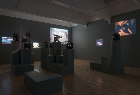 Jo&atilde;o Maria Gusm&atilde;o + Pedro Paiva, Papagaio