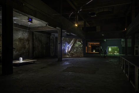 Jo&atilde;o Maria Gusm&atilde;o&nbsp;+ Pedro Paiva,&nbsp;Lua C&atilde;o